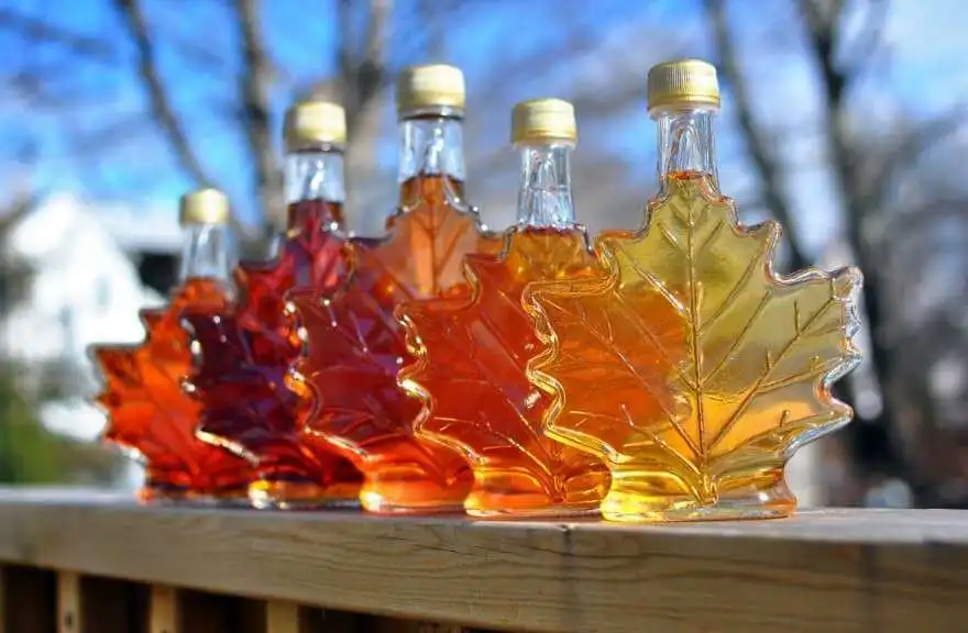 How to Buy the Best Maple Syrup